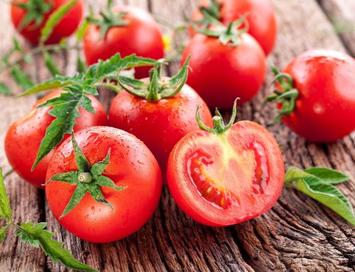 Cà chua có thể chữa được cận thị?