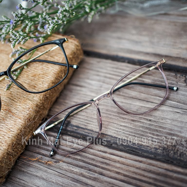 Gọng Kính Cận Nữ N300 HK1209