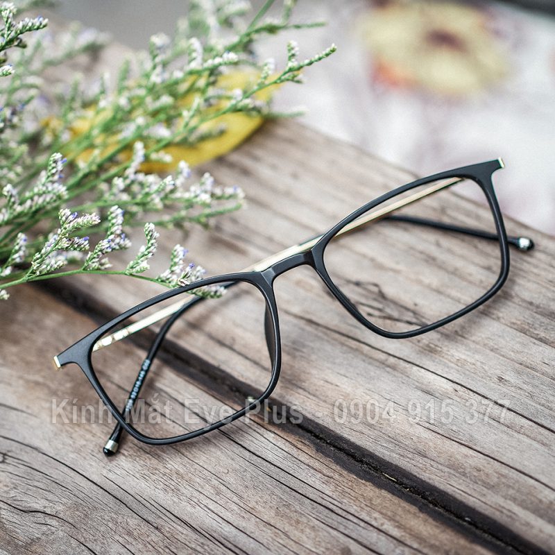 Gọng Kính Cận Nữ N300 HK1208