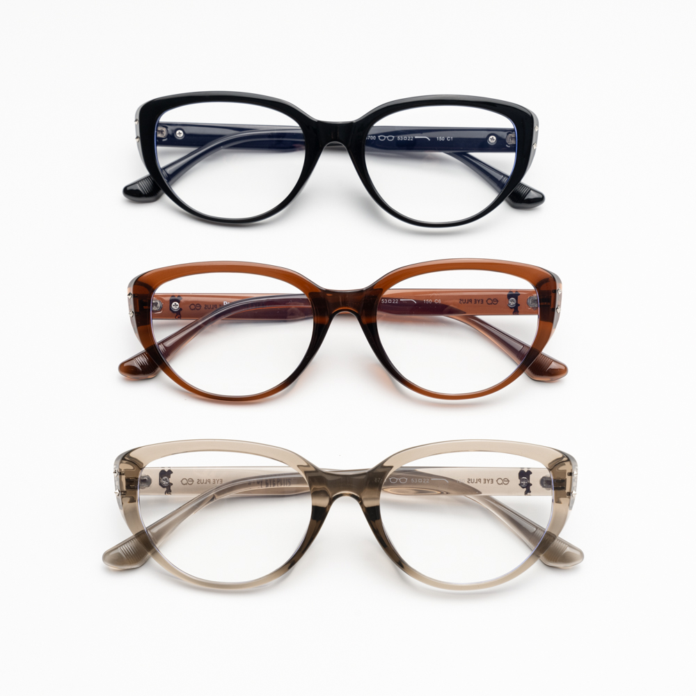 GỌNG KÍNH EYE PLUS 8700